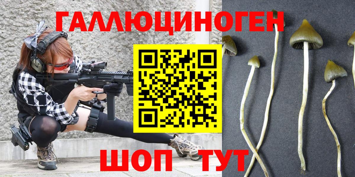 Псилоцибиновые грибы Psilocybe  Псилоцибиновые грибы мицелий  Сибай  Вход с VPN 
